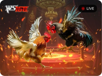 LUCKY88 Đá Gà Livestream